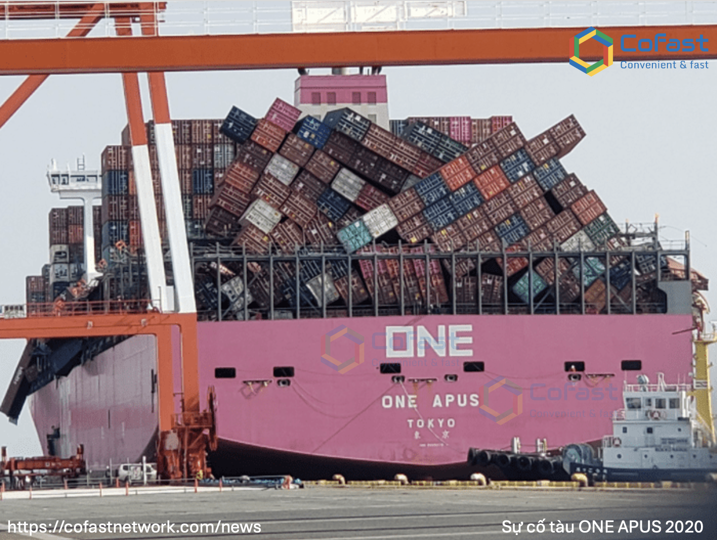 🚢 Khi Container Trở Thành Mối Đe Dọa: Lỗ Hổng Tử Thần Từ Khai Báo Sai Sự Thật