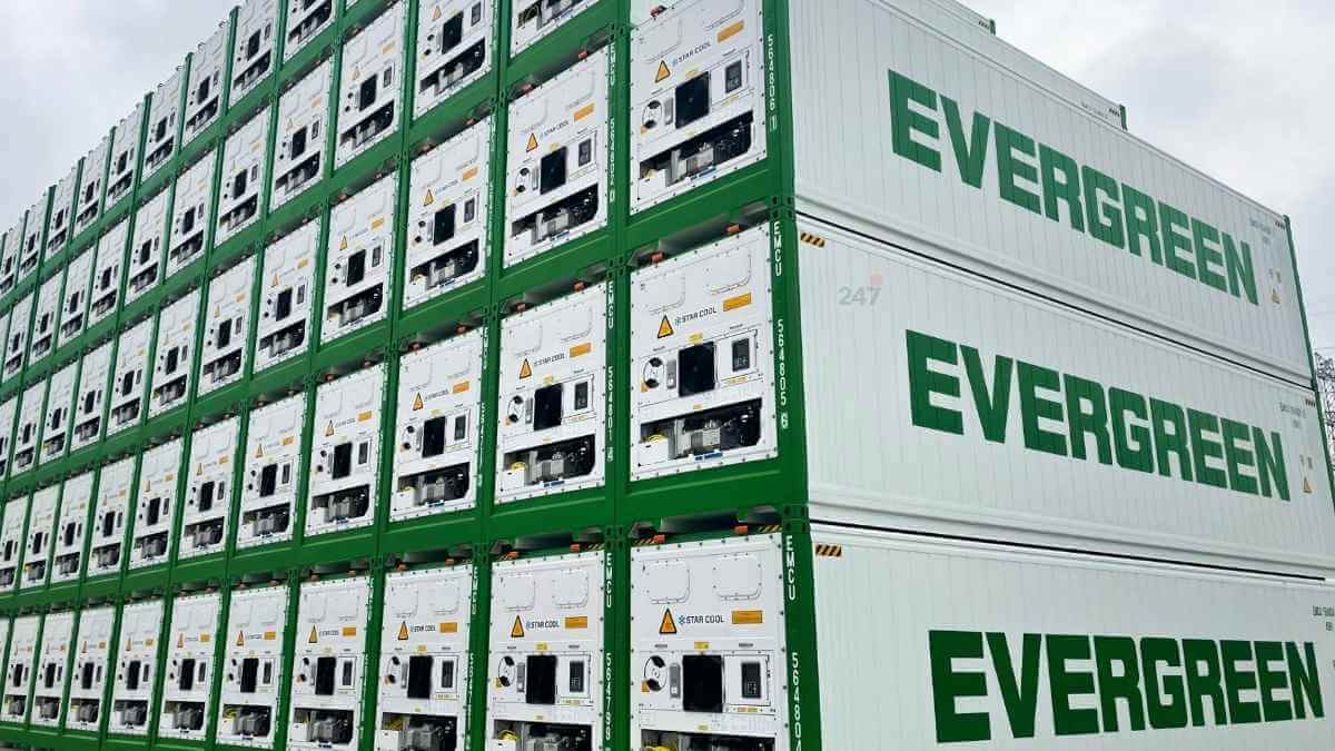 Evergreen Mua Thêm 18.000 Container, Tăng Nguồn Thiết Bị Vận Tải